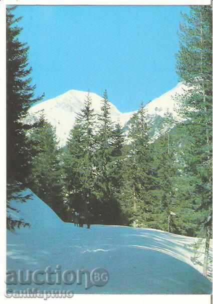 Carte poștală Bulgaria Pirin Vihren 2 *