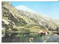 Carte poștală Bulgaria Pirin lac "The Eye" și Vihren 2 *