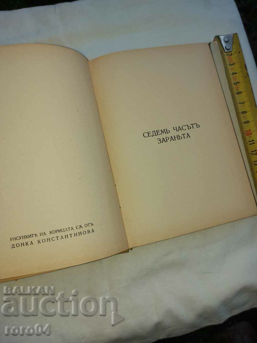 CLOTHES PEGS with price 30.00 BGN | € 15.34