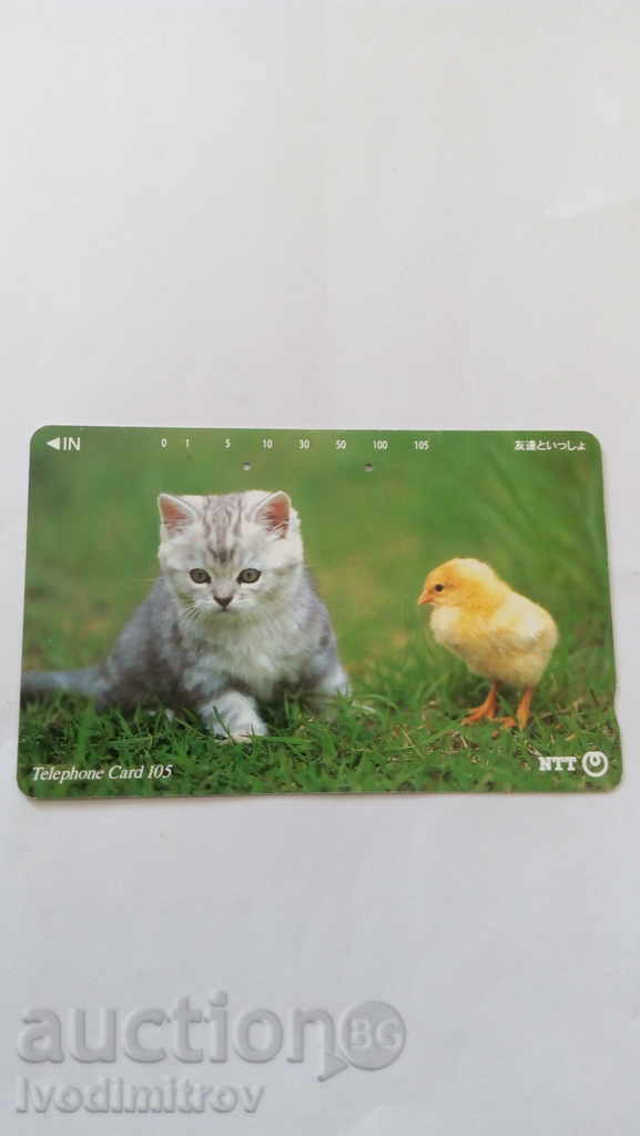 Calling Card NTT μικρό γατάκι και μια γκόμενα