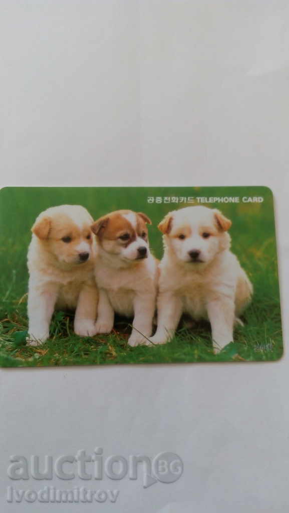 Calling Card coreeană Telecom Puppy
