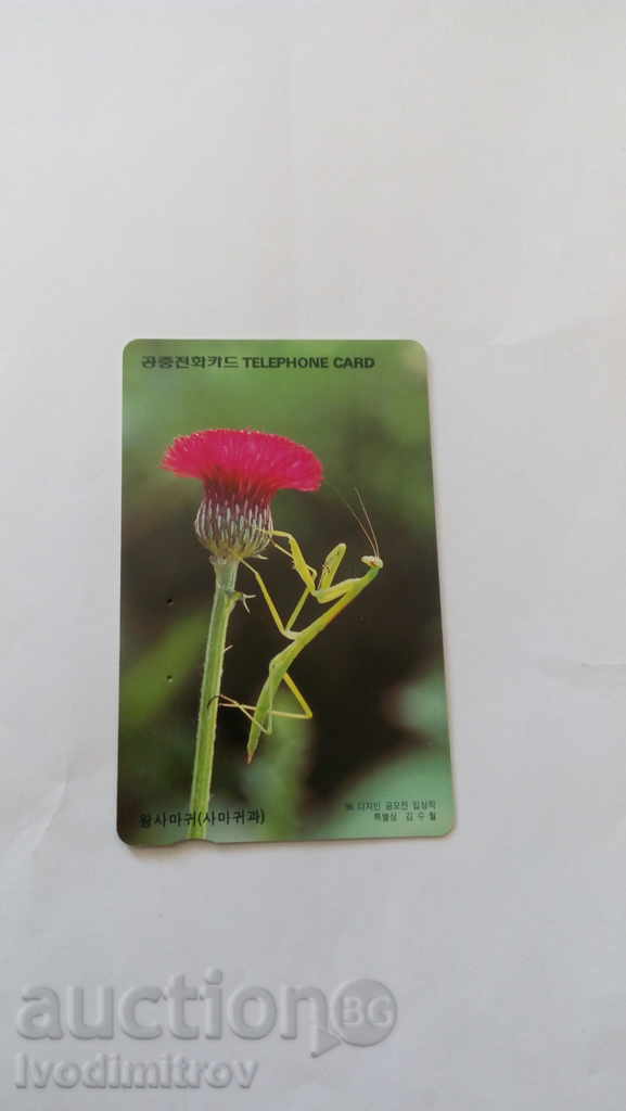 Coreeană carte de telefon Telecom Mantis pe flori