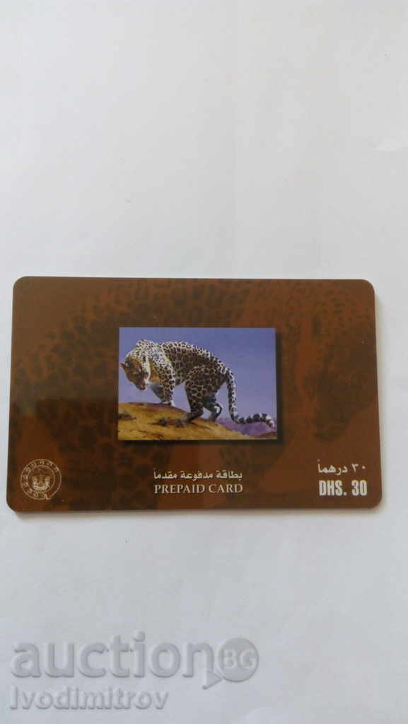 Photo Card Prepaid U.A.E. Arabian Leopard