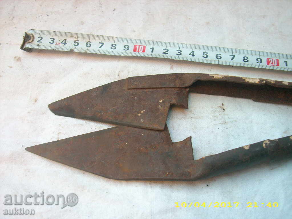 Delivery of STAR HORSES HANDLE FOR SHEEPING THE SHEEP Delivery of STAR HORSES HANDLE FOR SHEEPING THE SHEEP