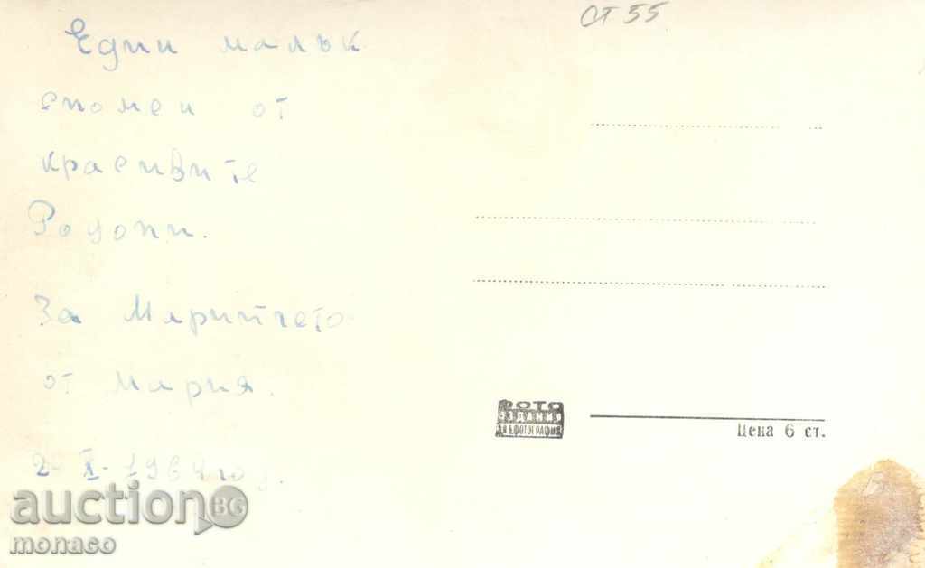 Old postcard - Peshtera, Holiday home of the Center with price 1.50 BGN | € 0.77 Old postcard - Peshtera, Holiday home of the Center with price 1.50 BGN | € 0.77