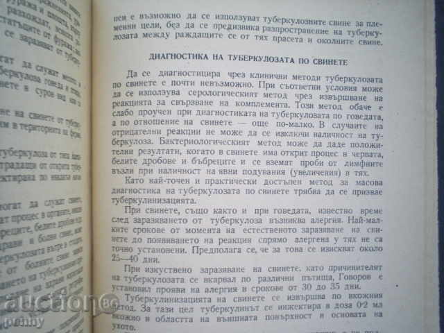 TUBERCULOSIS OF AGRICULTURAL ANIMALS - MKUSUKOVETS - 6