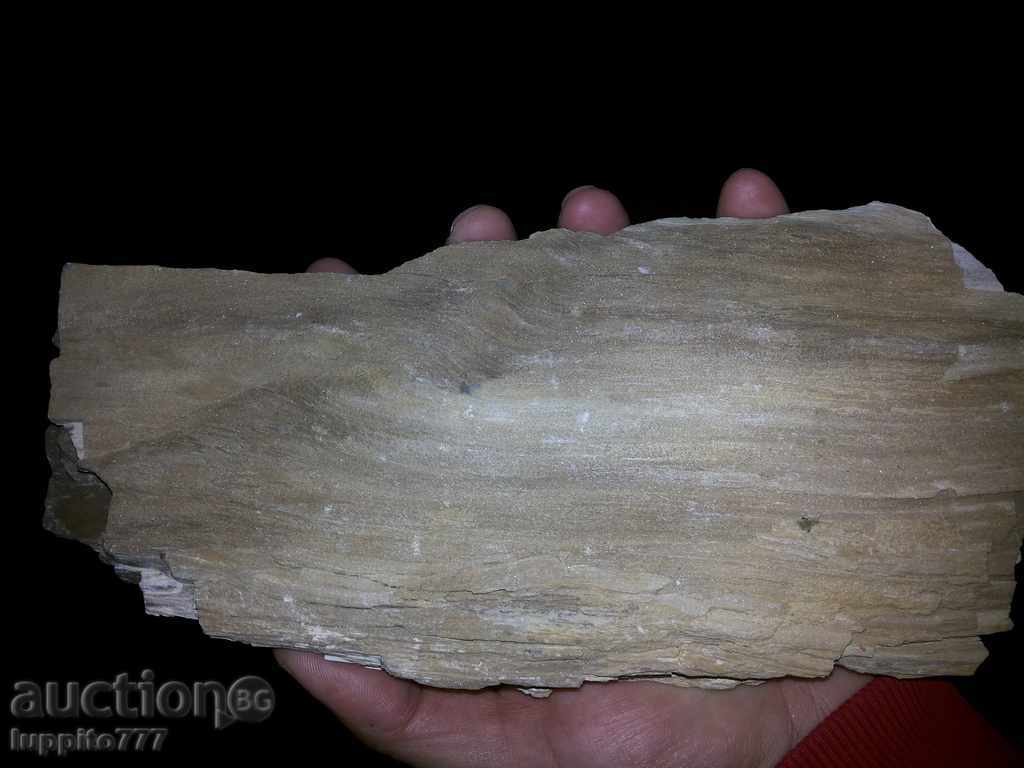 icon with price 278.90 BGN | € 142.60 icon with price 278.90 BGN | € 142.60