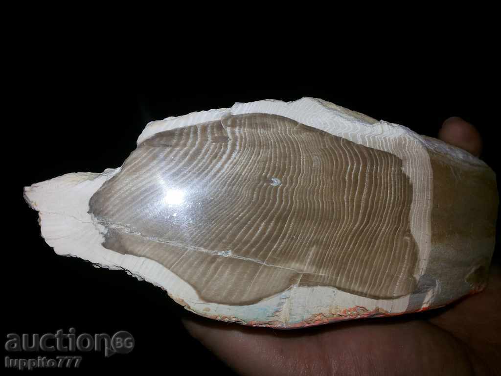 forest fairy nymph with price 112.34 BGN | € 57.44