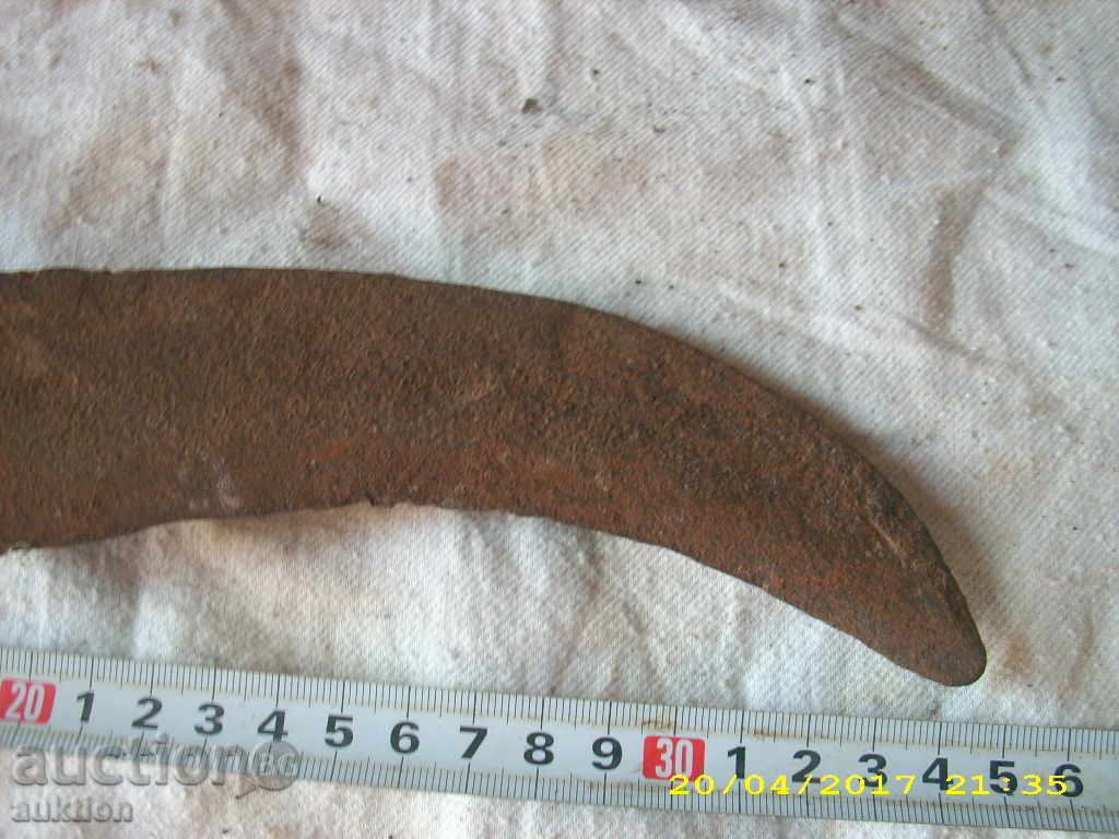 Auction STAR TARPAN, KOSHER, SABIA Auction STAR TARPAN, KOSHER, SABIA