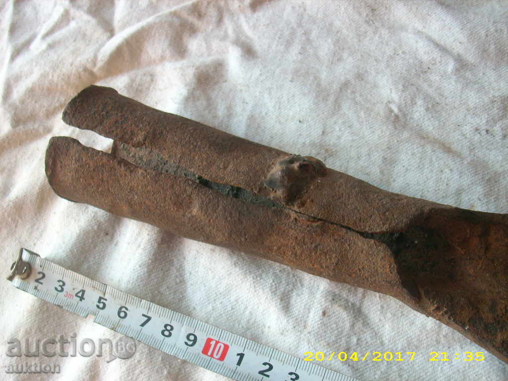 STAR TARPAN, KOSHER, SABIA - 7 STAR TARPAN, KOSHER, SABIA - 7