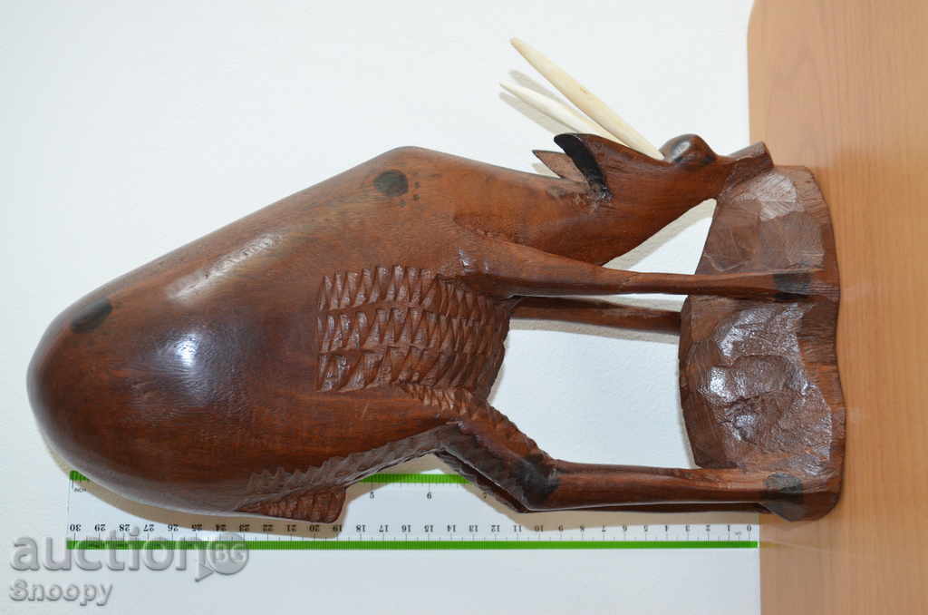 antilope senegalezi - 6 antilope senegalezi - 6