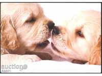 Пътувала пощенска картичка Фауна Кучета от Великобритания
