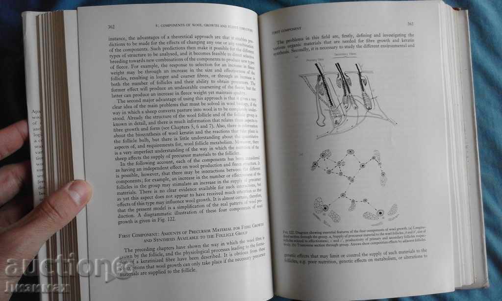 Wool growth - M.L. Ryder and S.K. Stephenson - 5