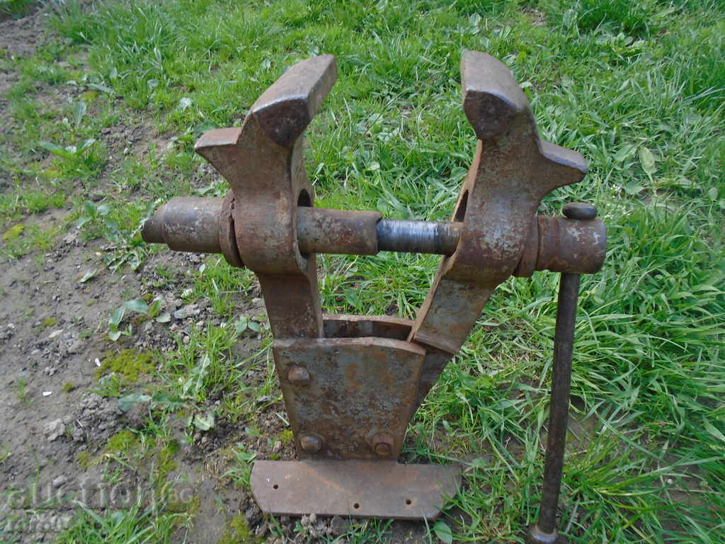 HUGE, MASSIVE OLD COW. MENU XXL SIZE - ACTUAL with price 172.00 BGN | € 87.94