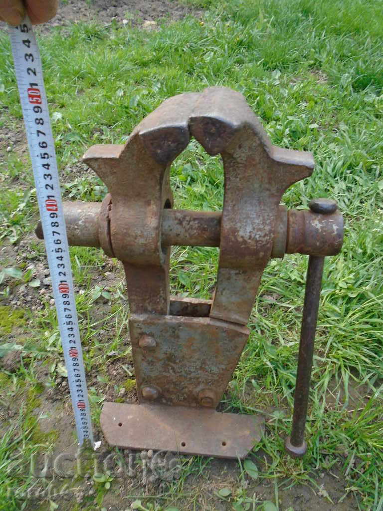 Auction  HUGE, MASSIVE OLD COW. MENU XXL SIZE - ACTUAL