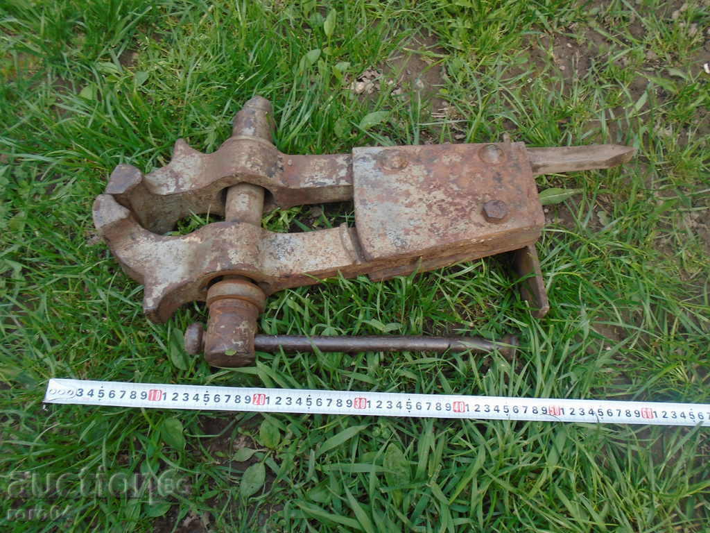 Delivery of HUGE, MASSIVE OLD COW. MENU XXL SIZE - ACTUAL