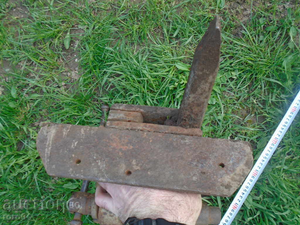 HUGE, MASSIVE OLD COW. MENU XXL SIZE - ACTUAL - 5