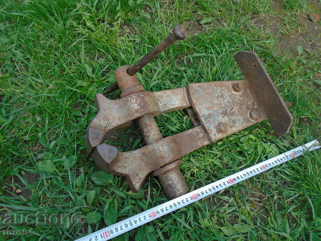 HUGE, MASSIVE OLD COW. MENU XXL SIZE - ACTUAL - 6