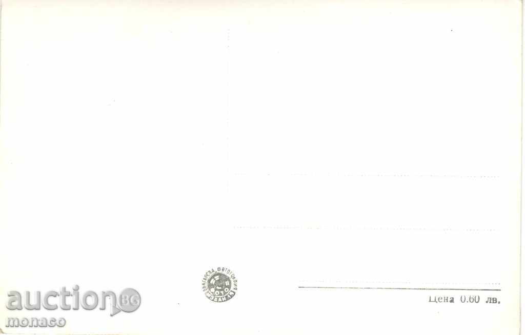 Old postcard - Berkovitsa, Student's House with price 2.40 BGN | € 1.23 Old postcard - Berkovitsa, Student's House with price 2.40 BGN | € 1.23