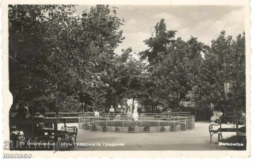 Стара пощенска картичка - Берковица, Изъ градската градина