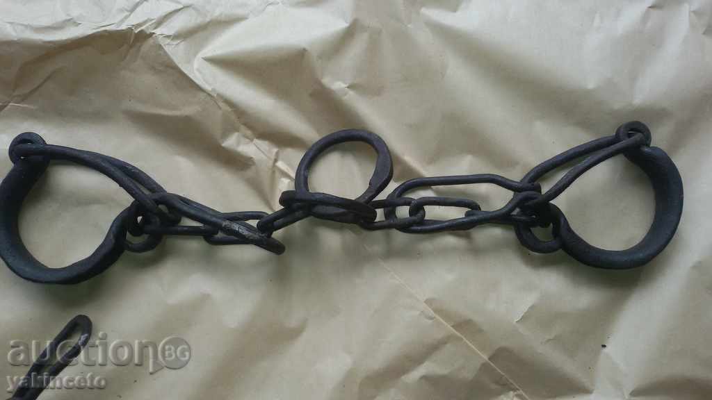 Delivery of SHELLS, ROLLS, EYE LOT Delivery of SHELLS, ROLLS, EYE LOT