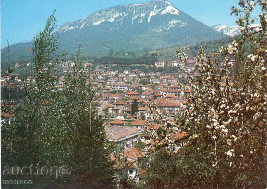 Стара пощенска картичка - Тетевен с връх Трескавец
