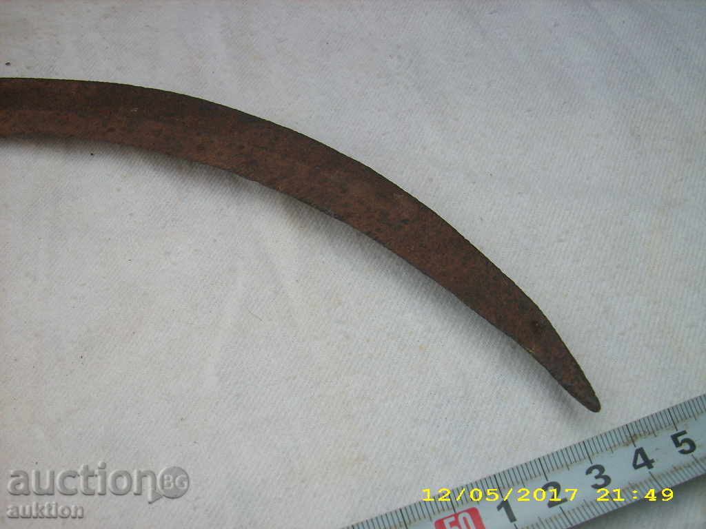 Auction  STAR HORSE RIDING SURF