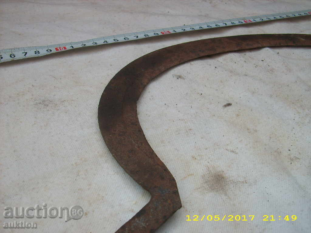 STAR HORSE RIDING SURF - 5