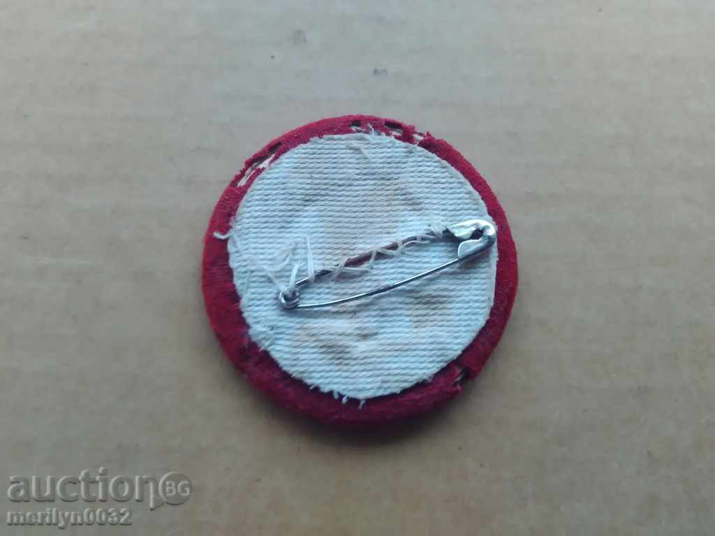 Pug of Doctor Lieutenant of the Red Cross - 6