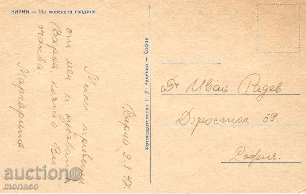 Old postcard - Varna, Sea Garden with price 2.50 BGN | € 1.28 Old postcard - Varna, Sea Garden with price 2.50 BGN | € 1.28