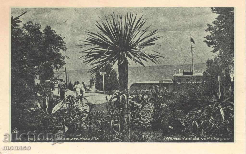 Old postcard - Varna, Sea Garden
