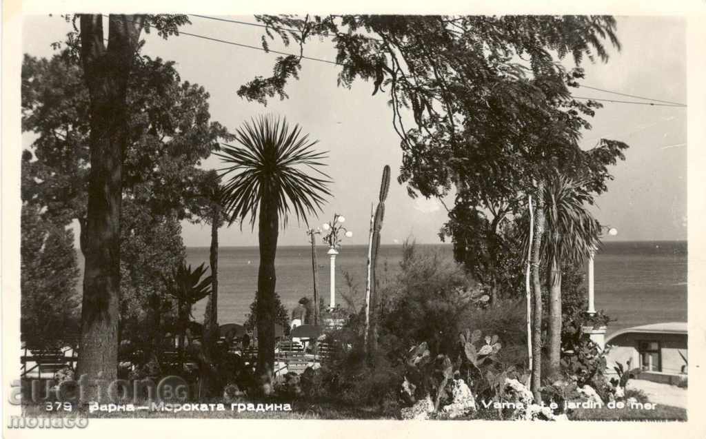 Old postcard - Varna, Sea Garden Old postcard - Varna, Sea Garden