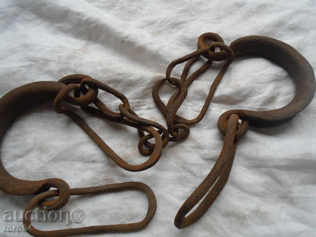 Delivery of SHIFT HORSE RIDING, EYE, BOCAY Delivery of SHIFT HORSE RIDING, EYE, BOCAY