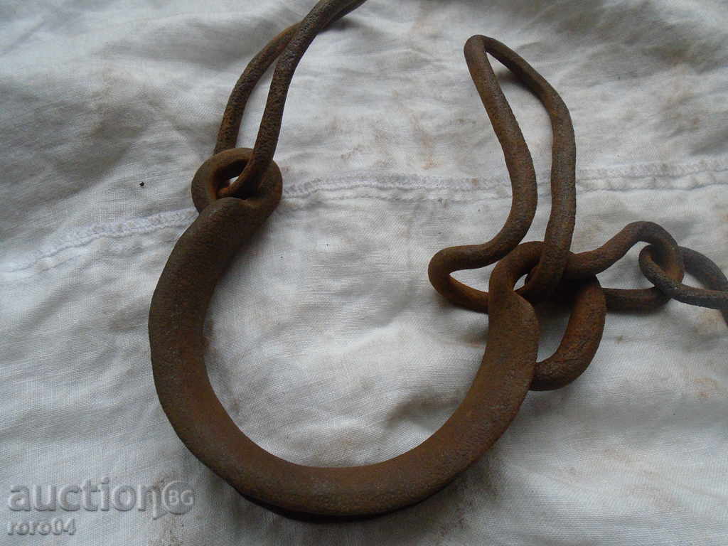 SHIFT HORSE RIDING, EYE, BOCAY - 6 SHIFT HORSE RIDING, EYE, BOCAY - 6