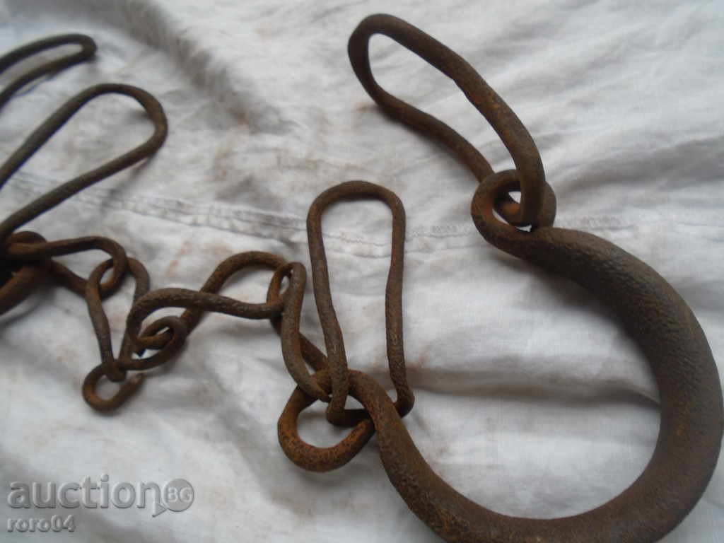 SHIFT HORSE RIDING, EYE, BOCAY - 7 SHIFT HORSE RIDING, EYE, BOCAY - 7