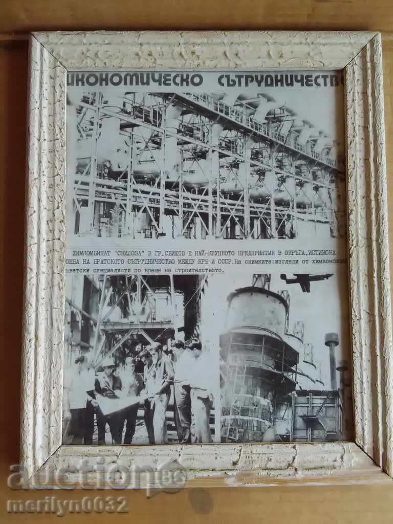 Socialist încadrată fotografie portret poster plantă Svishtov Sviloza