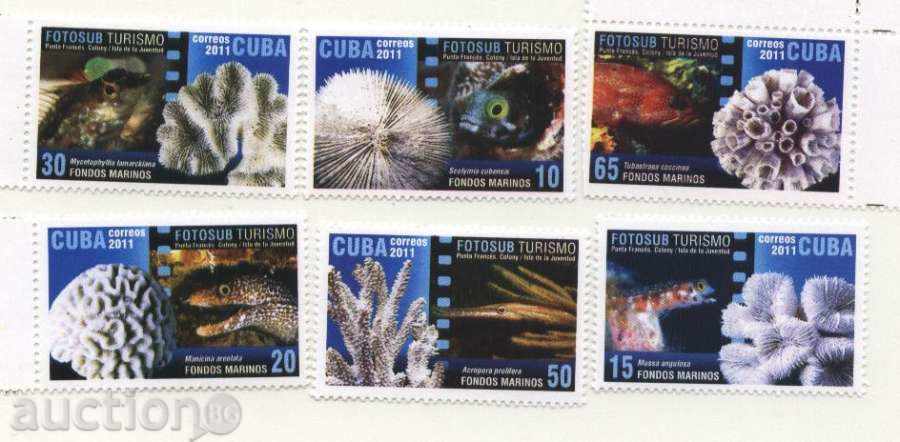 Чисти марки  Фауна, Морски живот   2011 Куба