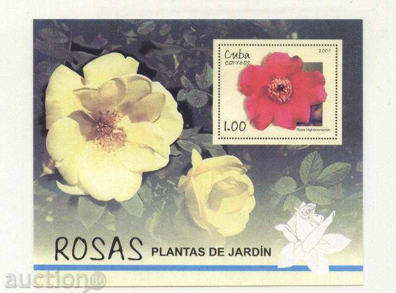 Καθαρό Roses 2007 μπλοκ της Κούβας