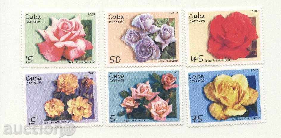 Pure Brands Roses 2007 from Cuba with price 7.00 BGN | € 3.58 Pure Brands Roses 2007 from Cuba with price 7.00 BGN | € 3.58