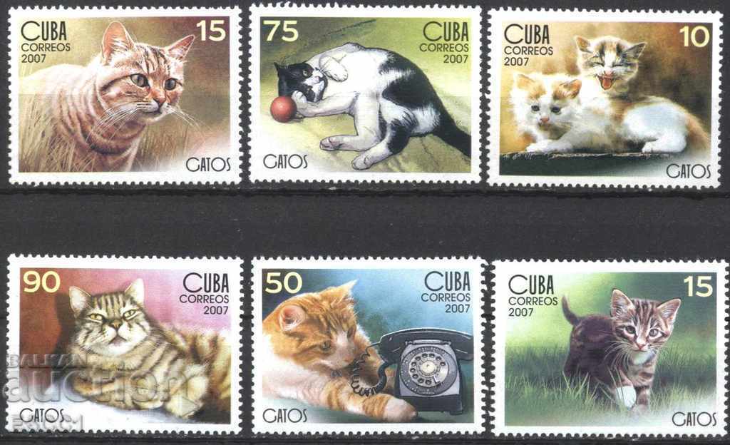 mărci Pisici curate 2007 din Cuba