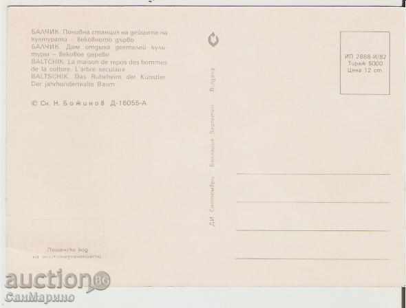 Map Bulgaria Balchik Settlement of cult. actors 9 * with price 0.70 BGN | € 0.36 Map Bulgaria Balchik Settlement of cult. actors 9 * with price 0.70 BGN | € 0.36