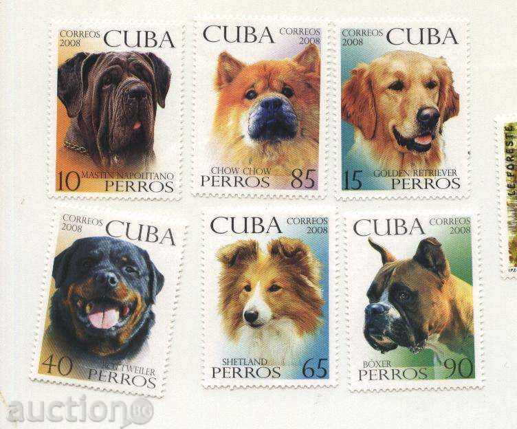 Чисти  марки   Кучета 2008 от Куба