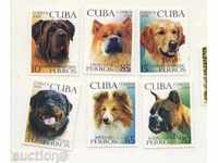 Calificativele curate 2008 Câini Cuba