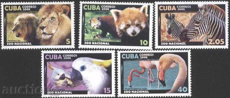 Чисти марки Фауна, Зоопарк 2008 от  Куба
