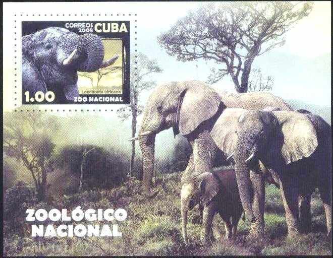 Καθαρίστε μπλοκ Πανίδα Ελέφαντες 2008 η Κούβα