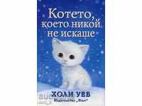 A kitten that nobody wanted