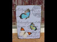 Metal Plate Butterfly Colorful Fly Animal World Air
