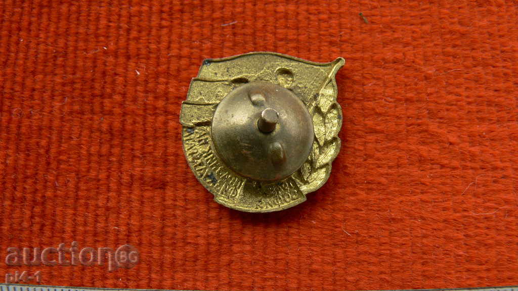 Pin-Feast of Physics Sofia 1948 with price 5.00 BGN | € 2.56 Pin-Feast of Physics Sofia 1948 with price 5.00 BGN | € 2.56