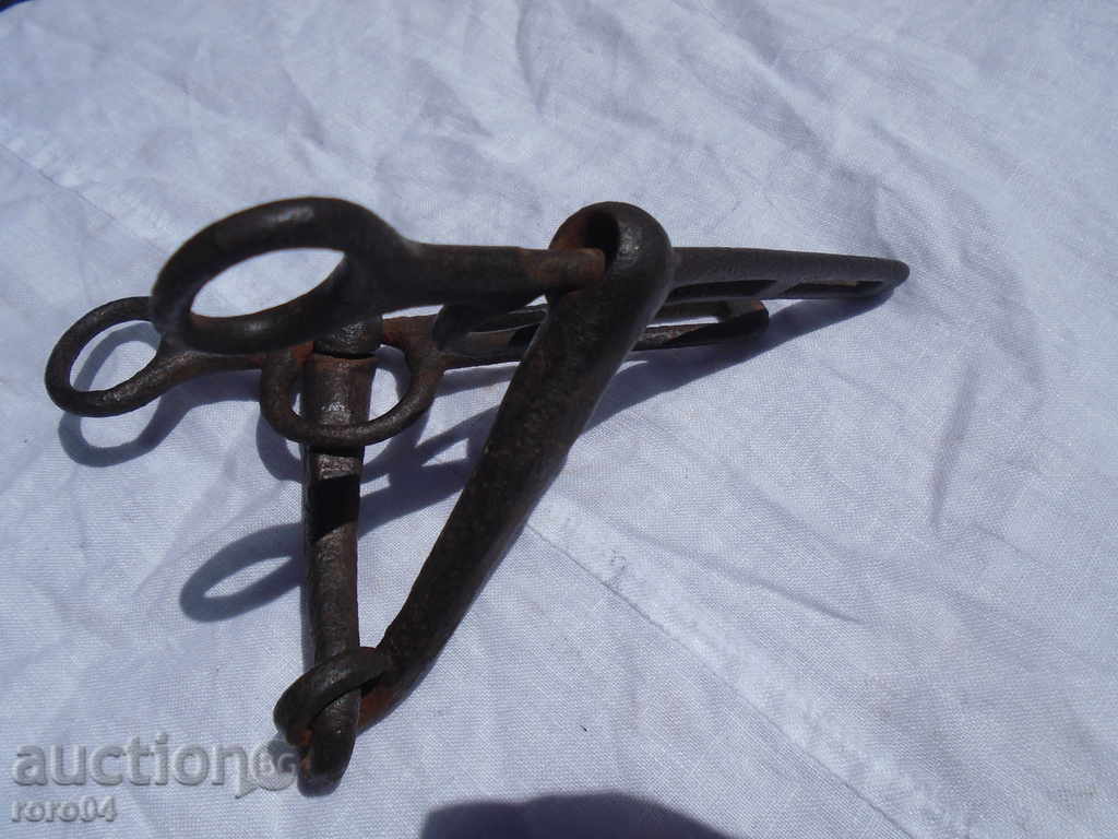 OLD HORSE RIDING WAVES - EXCELLENT - 6