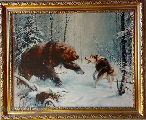 Bear against dog, picture for hunters Bear against dog, picture for hunters